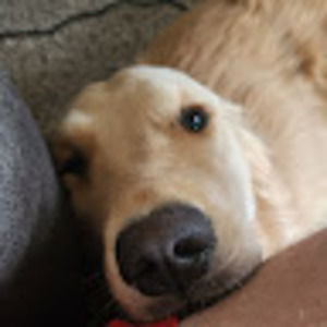 Meet your Posher, Andy